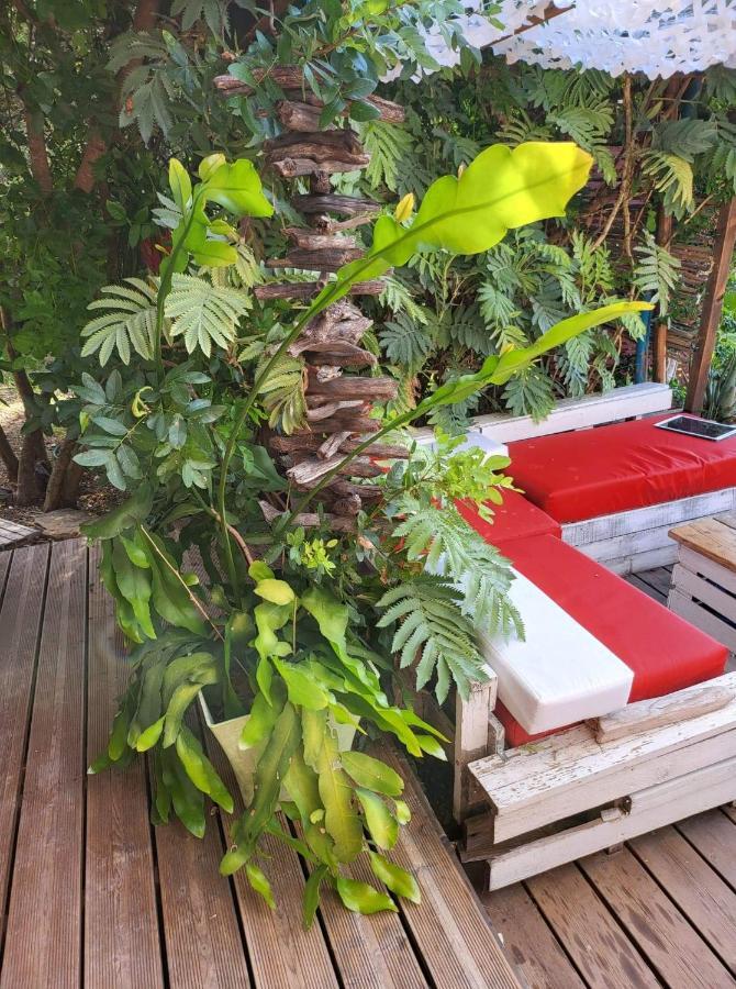 Logement De Charme Avec Piscine Et Jacuzzi Carnoules  Exteriér fotografie