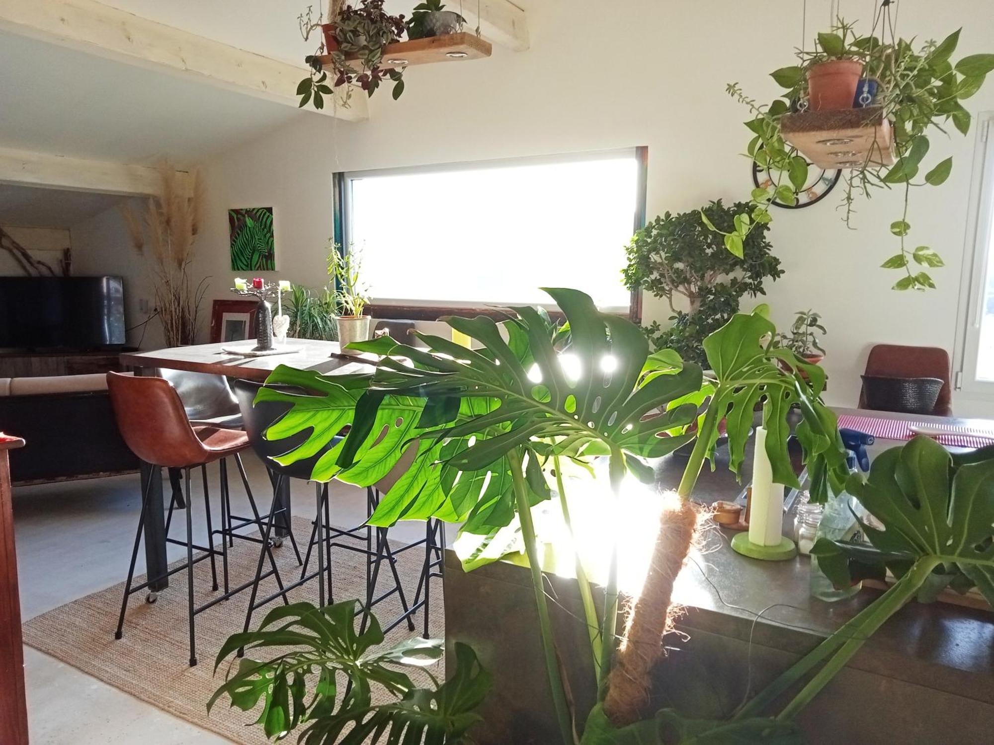 Logement De Charme Avec Piscine Et Jacuzzi Carnoules  Exteriér fotografie